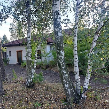Apartment Gnubbel Am Wald Вайсвассер Экстерьер фото