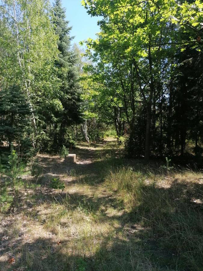 Apartment Gnubbel Am Wald Вайсвассер Экстерьер фото