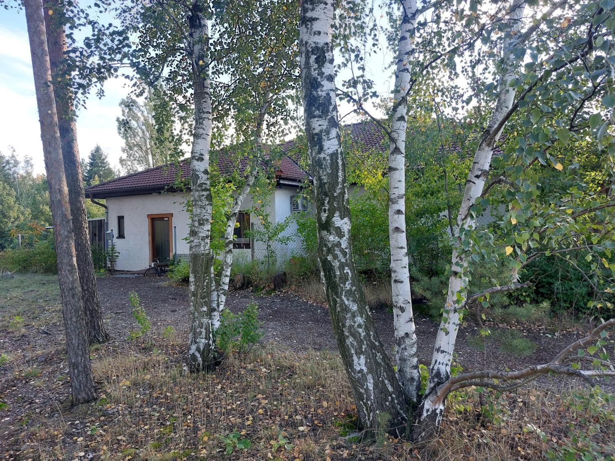 Apartment Gnubbel Am Wald Вайсвассер Экстерьер фото